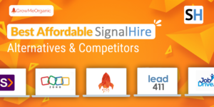 Signalhire alternative