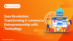 E-commerce Entrepreneurship
