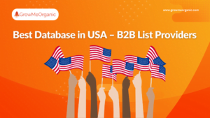 Best B2B database in USA