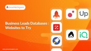 business lead database