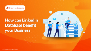 How can LinkedIn Database benefit your Business in 2024?