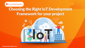 Choosing the Right IoT Development Framework for your project in 2024