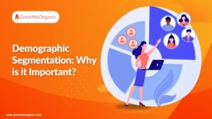 Demographic Segmentation: Why is it Important?