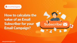 How to calculate the value of an Email Subscriber for your Email Campaign?