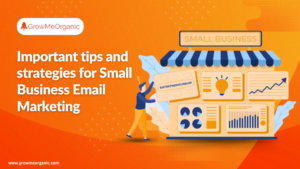 Important tips and strategies for Small Business Email Marketing!