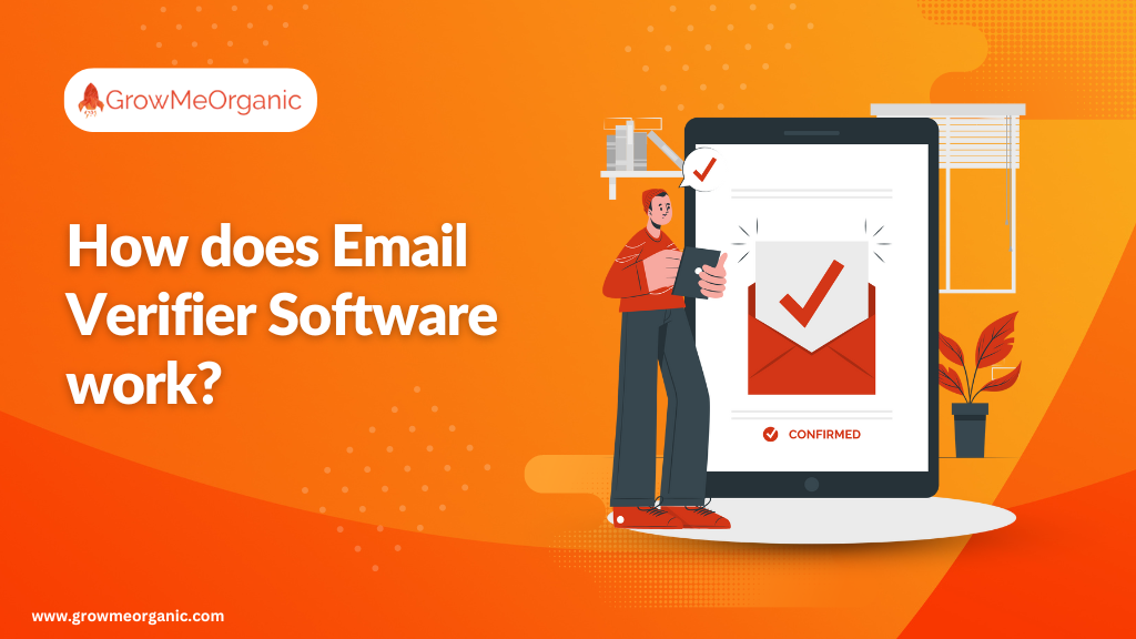 How does Email Verifier Software work?