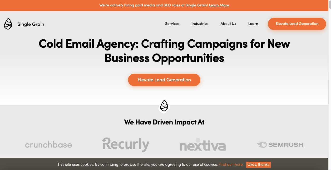 Single Grain - Cold Email Agency